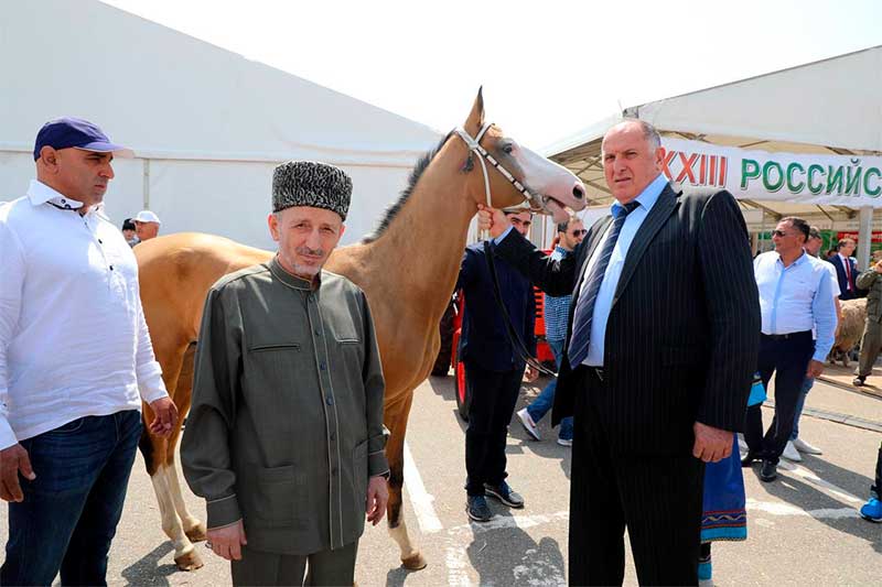 Фото: пресс-служба правительства РД