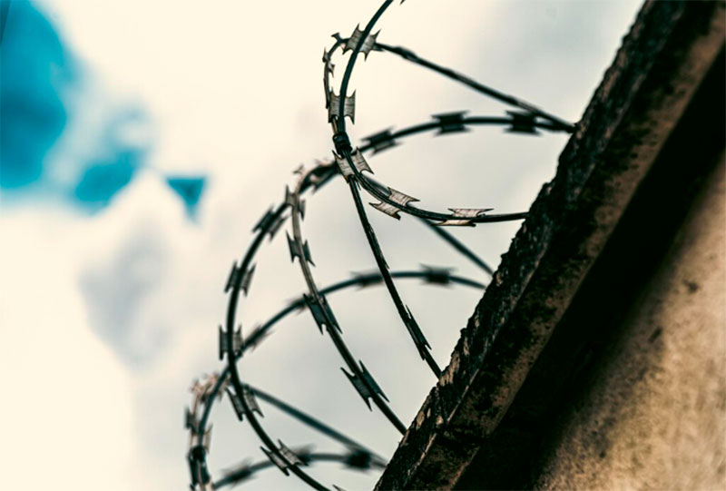 Фото: freepik.com