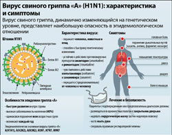 Меры профилактики от "свиного гриппа"