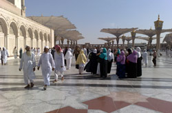 Медина (Medina)