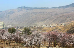 Мусалав из Кудутли (1652–1717)
