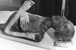 Всю ночь Морис Буке просидел