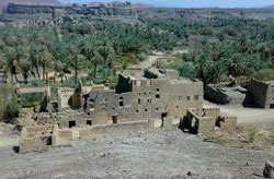 С кого брать пример современным мусульманам-медикам?