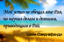 Высказывания шейха Саида-афанди