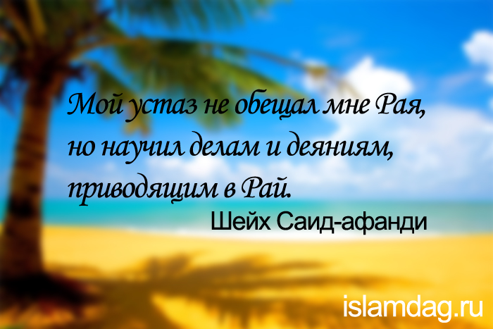 Высказывания шейха Саида-афанди