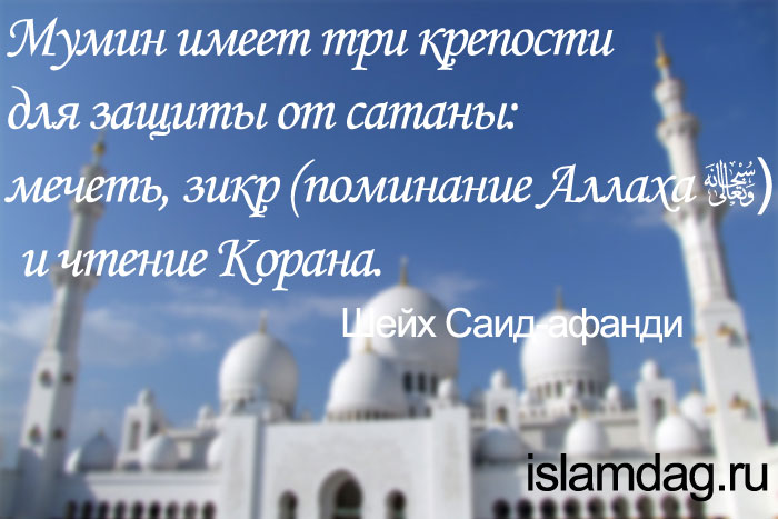 Высказывания шейха Саида-афанди