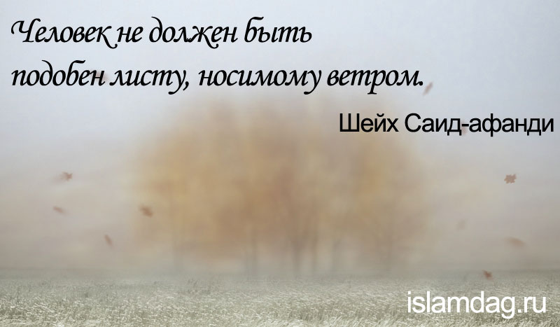 Высказывания шейха Саида-афанди